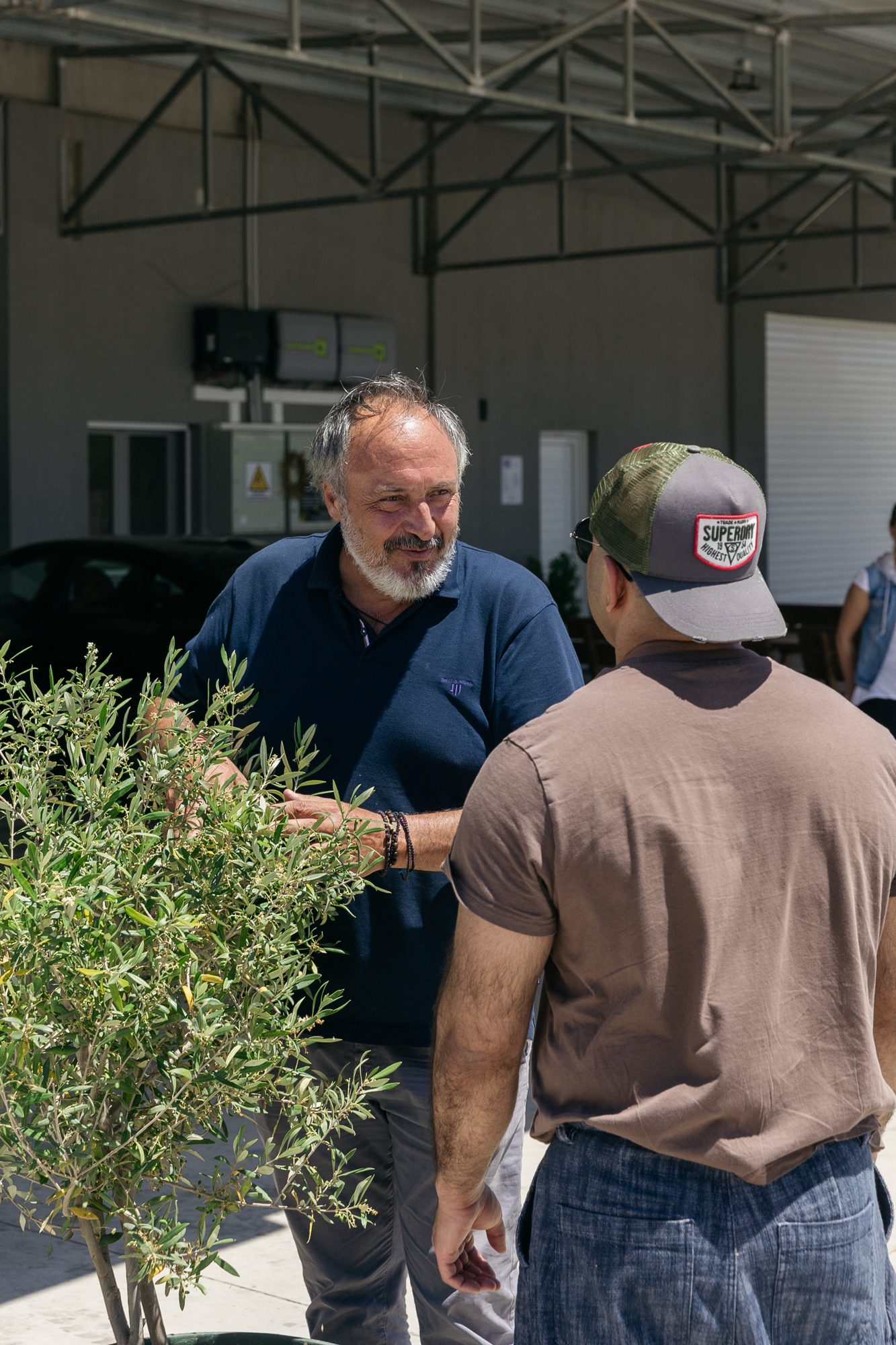 Cretekos founder talking with a Cretan farmer about a young olive tree